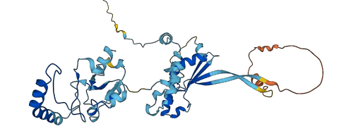 HSP90AB2P 3D structure
