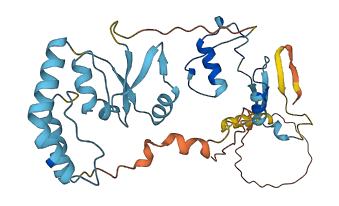 HSP90AA5P 3D structure