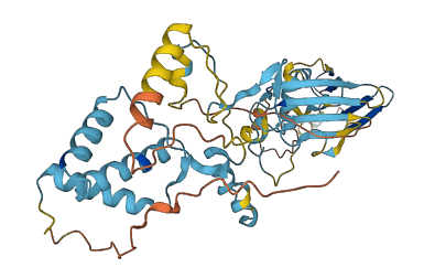 HSP90AA4P 3D structure