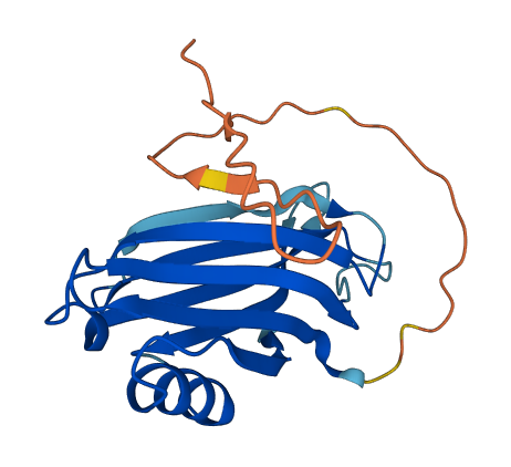 SYT14P1 3D structure