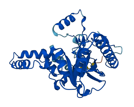 AWAT1 3D structure