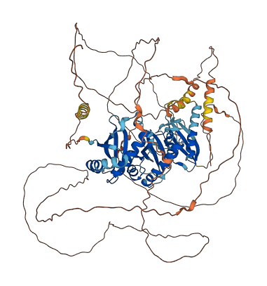 Trcg1 3D structure