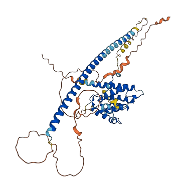 RUNDC3A 3D structure