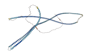ODF2 3D structure