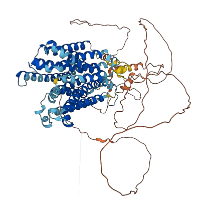 SLC45A4 3D structure