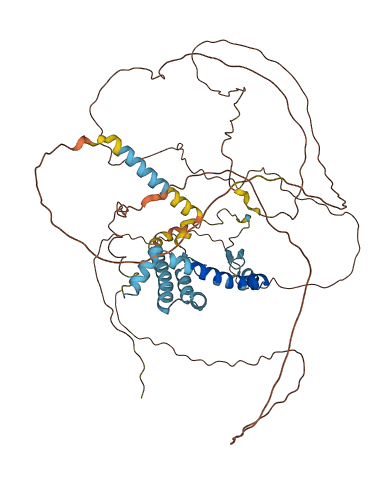 ZNF326 3D structure