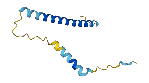 C4orf48 3D structure
