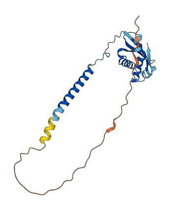 TTMP 3D structure