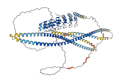 ANKRD20A8P 3D structure