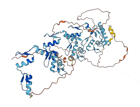 ZNF805 3D structure