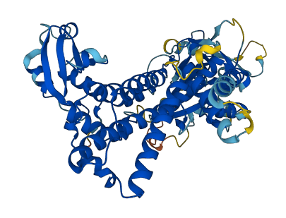 DALRD3 3D structure