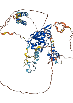 ZC3H12A 3D structure
