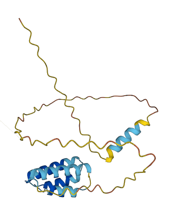 CT45A2 3D structure