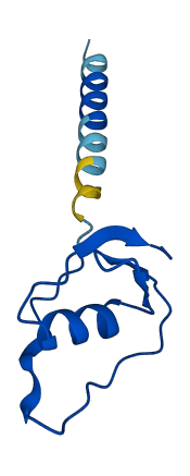 SPINK9 3D structure