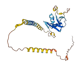 Klri2 3D structure