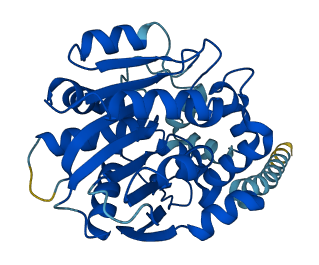 MEST 3D structure