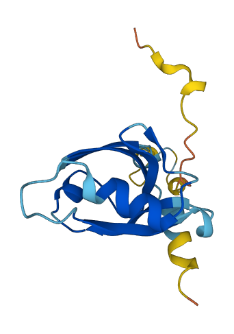 PDZD11 3D structure