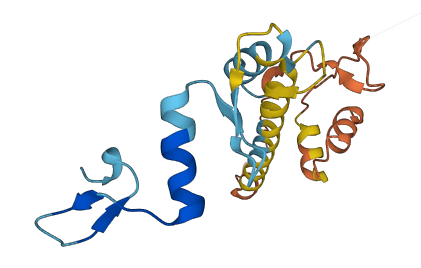 ZNF542P 3D structure