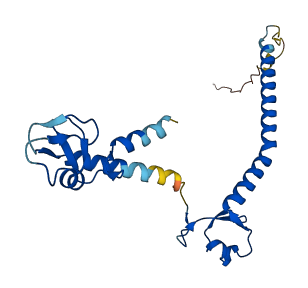 TRIM61 3D structure