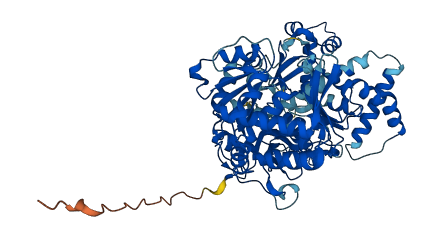 ACSBG2 3D structure