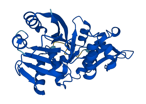 Gm4952 3D structure