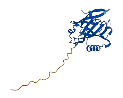 Mup20 3D structure