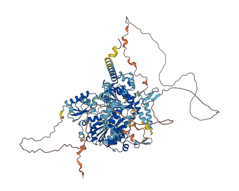 ZRANB3 3D structure