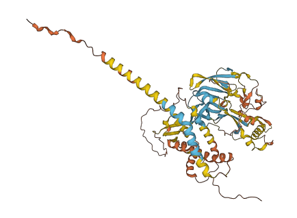Syna 3D structure
