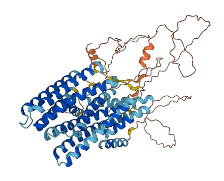 XKR4 3D structure