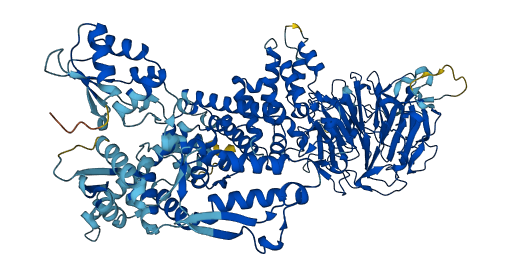 HERC4 3D structure