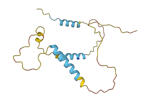NMS 3D structure