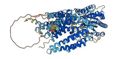 PIGG 3D structure