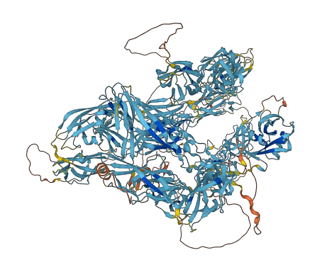 FREM1 3D structure