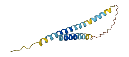 CT83 3D structure