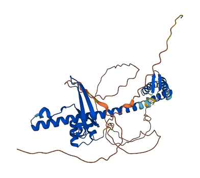 TFDP3 3D structure