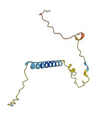 BEX5 3D structure