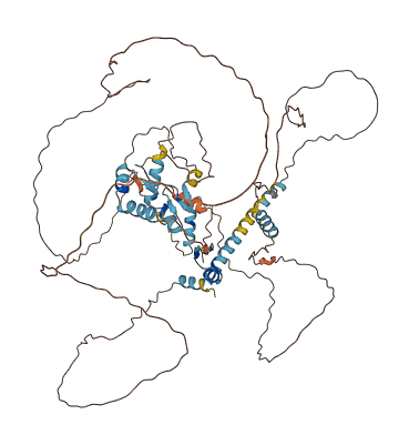 ZMAT1 3D structure
