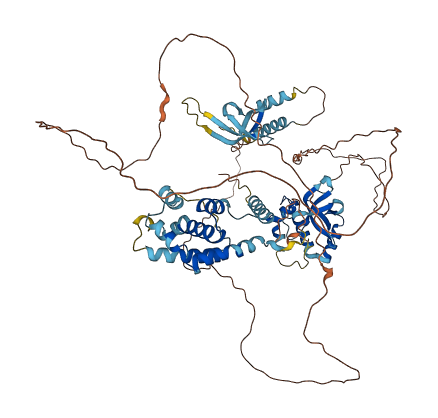 PWWP3B 3D structure