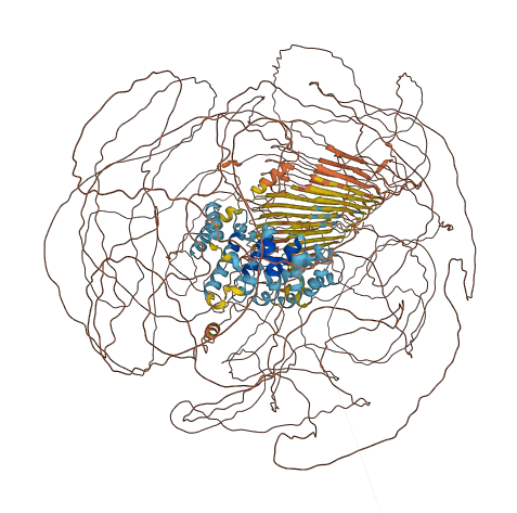 ARMCX4 3D structure