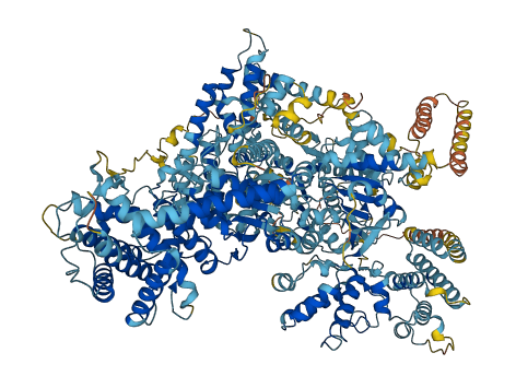 DDX60L 3D structure
