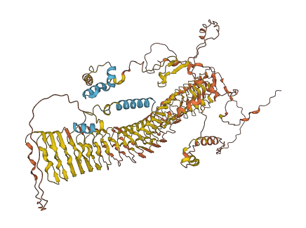 FAM47C 3D structure