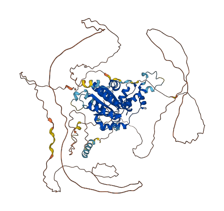 FIGN 3D structure