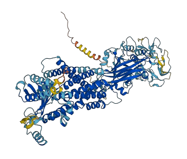 TMEM67 3D structure