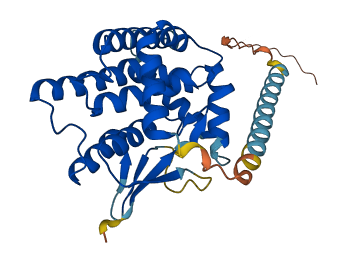 MTX3 3D structure