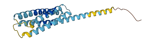TMEM196 3D structure