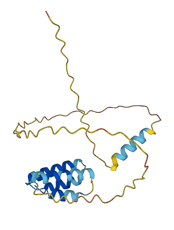 CT45A1 3D structure