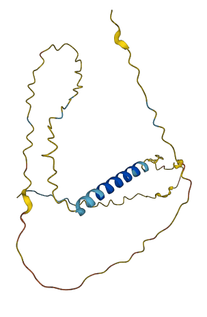 DMRTC1 3D structure