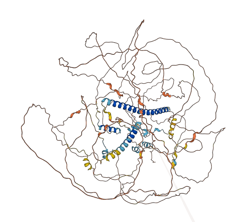 NHSL2 3D structure