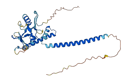 Phf11l 3D structure