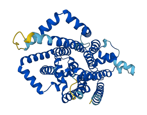 ALG10B 3D structure